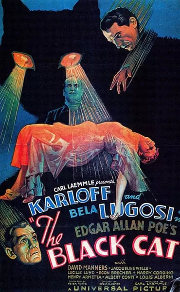 THE BLACK CAT (STYLE D) Classic Movie Poster